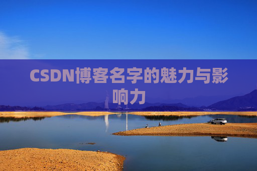 CSDN博客名字的魅力与影响力